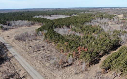 photo for a land for sale property for 48084-72147-Necedah-Wisconsin