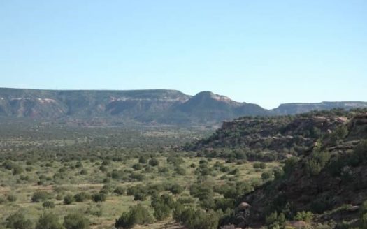 photo for a land for sale property for 30050-29167-Newkirk-New Mexico