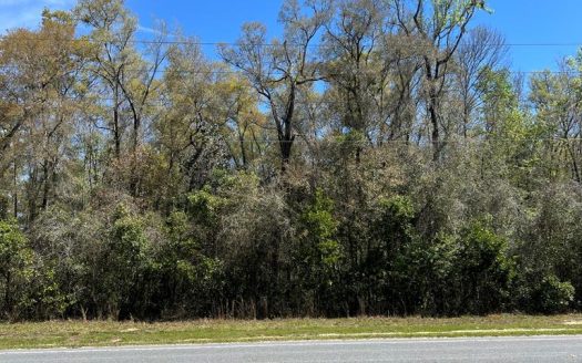 photo for a land for sale property for 09090-89941-Old Town-Florida
