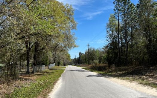 photo for a land for sale property for 09090-90245-Old Town-Florida