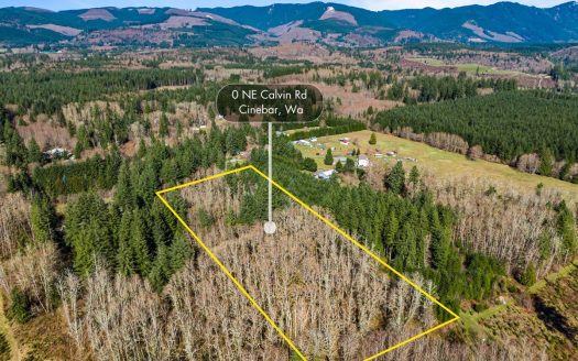 photo for a land for sale property for 46037-13631-Onalaska-Washington