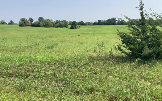 photo for a land for sale property for 24022-54150-Pattonsburg-Missouri