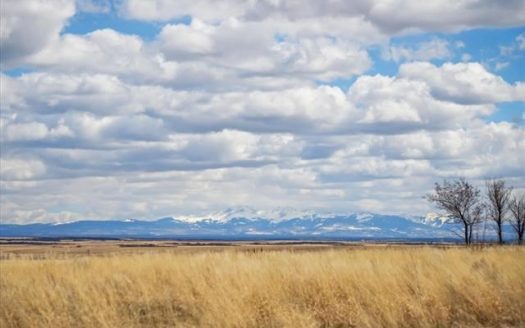 photo for a land for sale property for 05099-11452-Pleasant View-Colorado