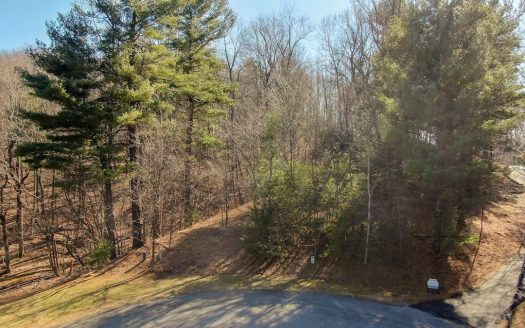 photo for a land for sale property for 45038-87256-Roanoke-Virginia