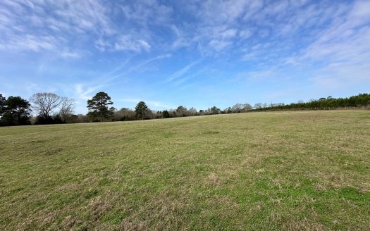 photo for a land for sale property for 42145-11080-Rusk-Texas