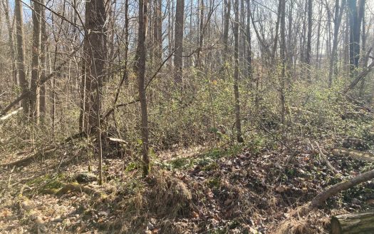 photo for a land for sale property for 16014-00336-Scottsville-Kentucky