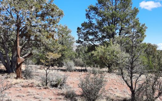 photo for a land for sale property for 02036-24022-Seligman-Arizona
