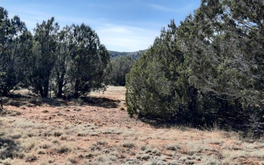 photo for a land for sale property for 02036-24023-Seligman-Arizona