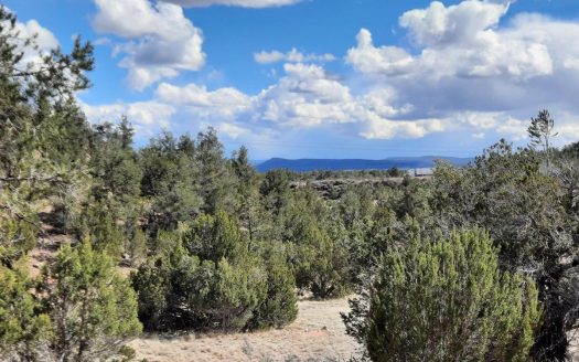 photo for a land for sale property for 02036-24026-Seligman-Arizona