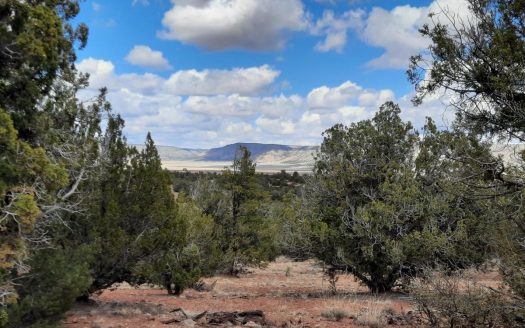 photo for a land for sale property for 02036-24027-Seligman-Arizona