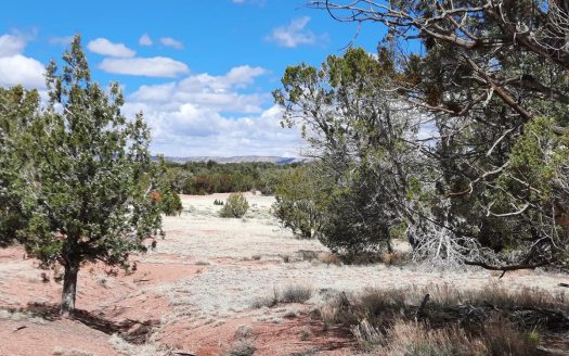 photo for a land for sale property for 02036-24028-Seligman-Arizona