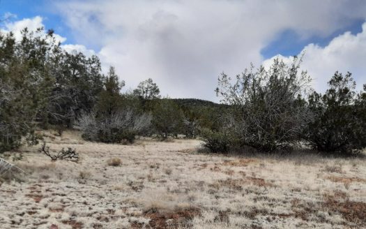 photo for a land for sale property for 02036-24029-Seligman-Arizona