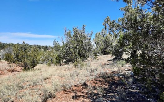 photo for a land for sale property for 02036-24032-Seligman-Arizona