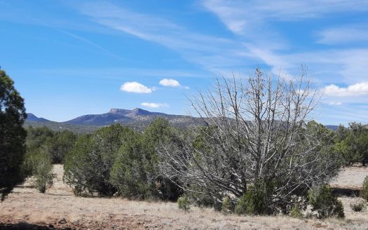 photo for a land for sale property for 02036-24034-Seligman-Arizona