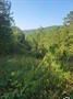 photo for a land for sale property for 03105-23029-Shirley-Arkansas