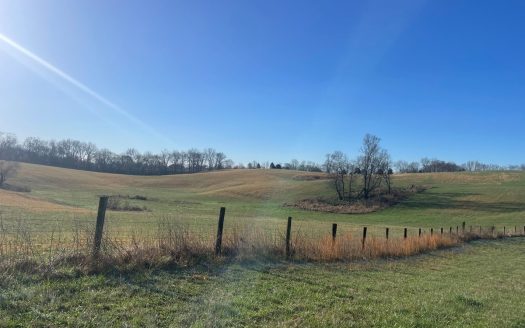 photo for a land for sale property for 16058-24024-Smiths Grove-Kentucky
