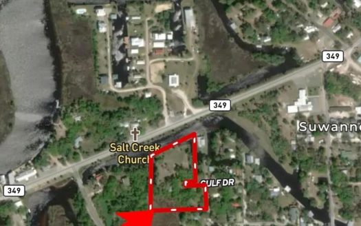 photo for a land for sale property for 09090-90158-Suwannee-Florida