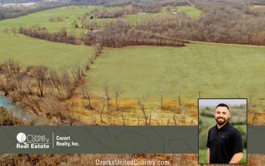 photo for a land for sale property for 24078-93000-Thayer-Missouri