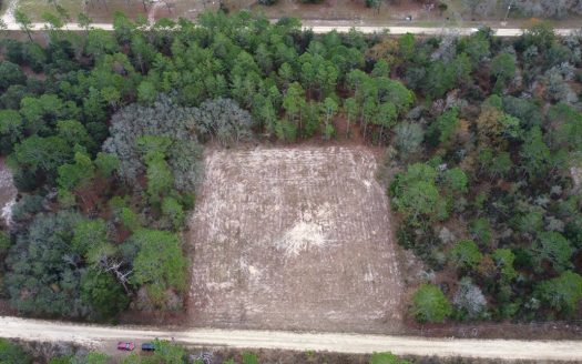 photo for a land for sale property for 09090-78967-Williston Highlands-Florida