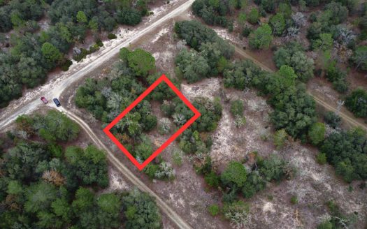 photo for a land for sale property for 09090-89671-Williston Highlands-Florida