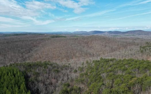 photo for a land for sale property for 45007-68890-Wingina-Virginia