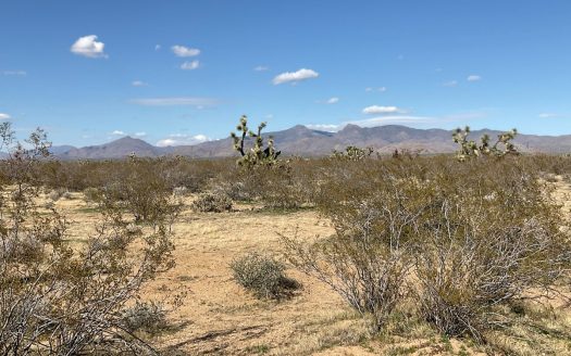 photo for a land for sale property for 02036-24053-Yucca-Arizona