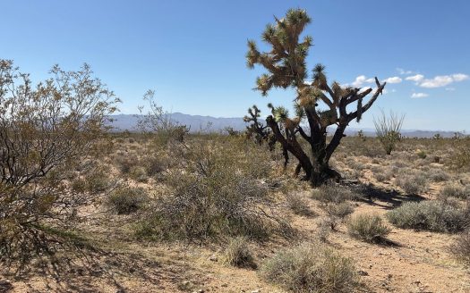 photo for a land for sale property for 02036-24055-Yucca-Arizona