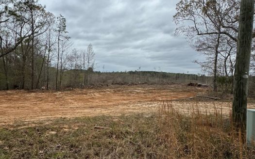 photo for a land for sale property for 23052-72845-Ackerman-Mississippi