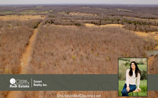 photo for a land for sale property for 24078-93140-Alton-Missouri