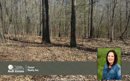 photo for a land for sale property for 24078-93180-Alton-Missouri