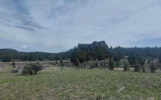 photo for a land for sale property for 04037-51050-Alturas-California