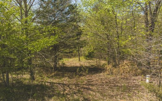 photo for a land for sale property for 45038-00924-Amherst-Virginia