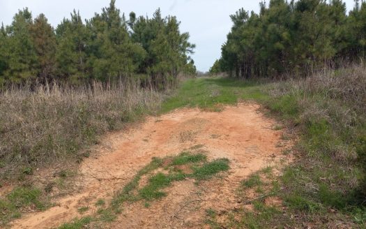 photo for a land for sale property for 35115-64650-Antlers-Oklahoma