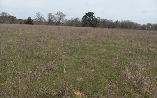 photo for a land for sale property for 35115-64564-Antlers-Oklahoma