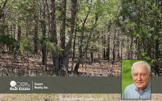 photo for a land for sale property for 24078-93260-Ash Flat-Arkansas