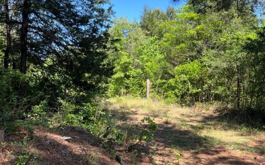 photo for a land for sale property for 42252-29051-Atlanta-Texas
