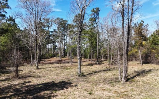 photo for a land for sale property for 32116-36487-Beaufort-North Carolina