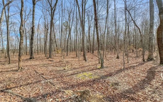photo for a land for sale property for 41111-40103-Belvidere-Tennessee