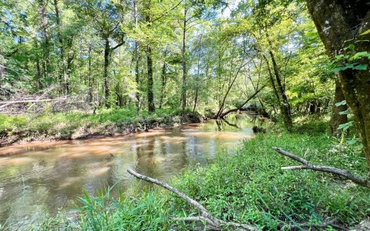 photo for a land for sale property for 01030-85690-Black-Alabama