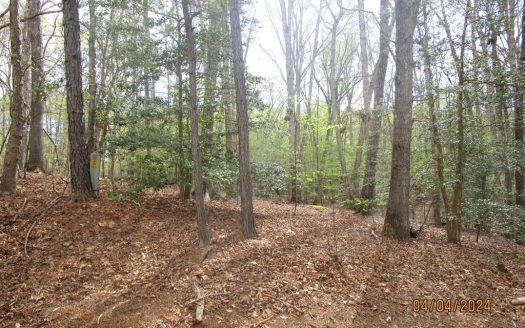 photo for a land for sale property for 45009-69120-Bracey-Virginia