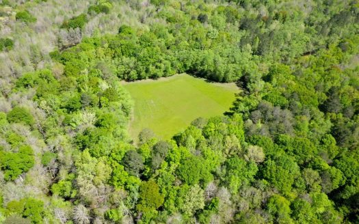 photo for a land for sale property for 01024-24031-Brantley-Alabama