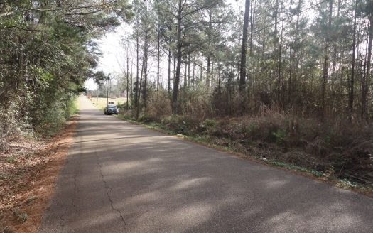 photo for a land for sale property for 23044-35676-Brookhaven-Mississippi