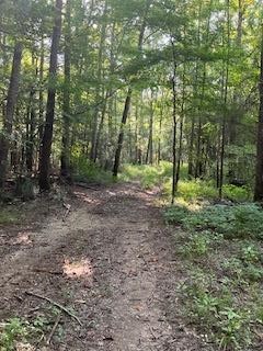 photo for a land for sale property for 23044-41245-Brookhaven-Mississippi