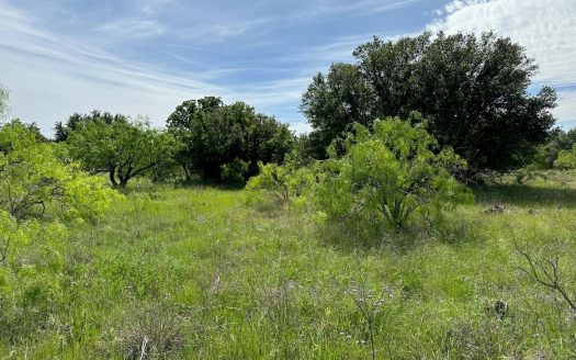 photo for a land for sale property for 42165-53921-Brownwood-Texas