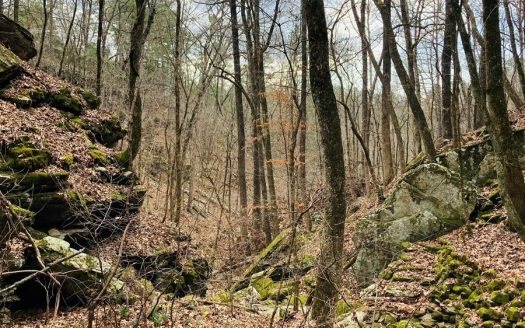 photo for a land for sale property for 03061-61280-Calico Rock-Arkansas