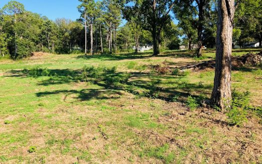 photo for a land for sale property for 03061-61390-Calico Rock-Arkansas