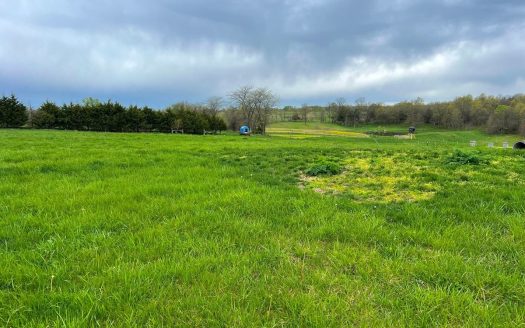 photo for a land for sale property for 24066-24031-Cantril-Iowa