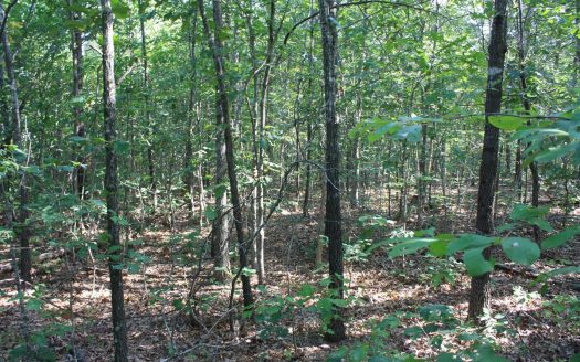 photo for a land for sale property for 24086-73906-Centerville-Missouri