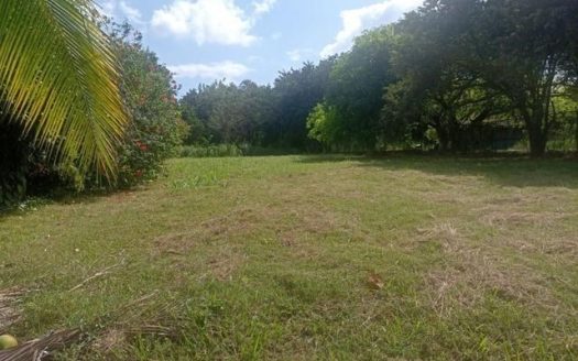 photo for a land for sale property for 60003-24044-Chame-Panama