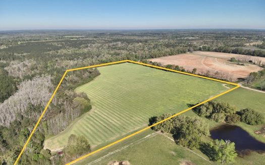 photo for a land for sale property for 01030-85670-Cottonwood-Alabama